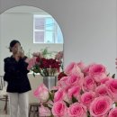 사하구 대티로 | 부산 괴정동 꽃집 감각적인 꽃다발 24시 무인픽업 가능한 프리에르플레르(priere fleur)