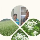 영춘농장 이미지