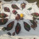 꿈나래유치원 이미지