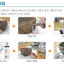 한국미술사 - 10. 부산 영선동 '토기 융기문 발' 무늬는 무엇을 새긴 것일까 이미지