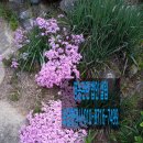 디딤돌행정사사무소 이미지