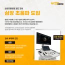 화천동물병원