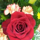 동백민박 이미지