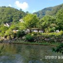 들꽃마당펜션 이미지