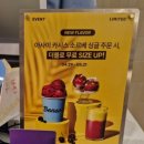 카시스 | 벤슨(Benson) 신메뉴 아사이 카시스 소르베 등 여러 맛 후기
