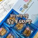 황금 | 부산 여행 선물 추천 황금 복돼지빵 후기