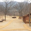 대흥동 유아숲체험원 이미지