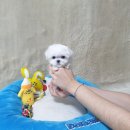 화순 토이샵 이미지