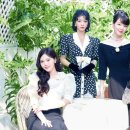 (주)미쓰랜드 이미지