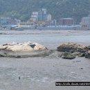 망산도 유주암 이미지