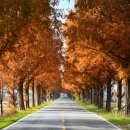 북성경로당 이미지