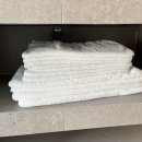 스테이 수림 이미지