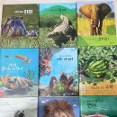 아람에스티 | 자연관찰)키즈스콜레:야호자연아 내 돈 내산 구매후기