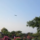 제주 공항 주변 예쁜 카페 아랑디
