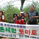 김문자농장 Daum카페