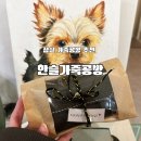 스냅이 달린 카드지갑 만들기 | 잠실가죽공예 원데이클래스 한슬가죽공방 카드지갑 만든 후기