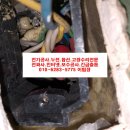 현대전파사 이미지