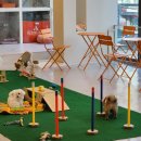 에르멍스 이미지