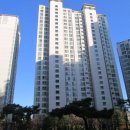 굿모닝옵티마약국 이미지