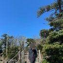 조실장회센타