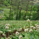 산골농장 이미지