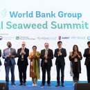 해조수산 이미지