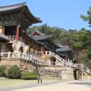 우리의 봄날 이미지