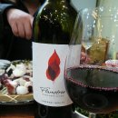 Flametree_ 이미지