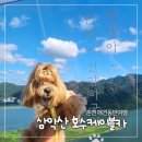 강아지 정거장 | 춘천 삼악산 호수케이블카 강아지 애견동반 여행