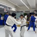 원팀 유도 센터 이미지