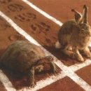 토끼와거북이 이미지