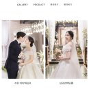 결혼준비_D-180, 본식스냅(스튜디오해든), 본식DVD(위드유그라피) 추천하는 이유!