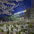 시립운정행복어린이집 | [파주간판]벚꽃 핀 밤, 더 예쁘게 빛난 파주시립운정행복어린이집 간판 설치