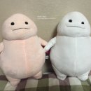 뽑아봅세 이미지