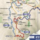 원주굽이길 2코스 700년 노송길 이미지