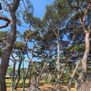 주생초등학교 | 전라북도 남원시 주생면 지당리 주생초마을숲