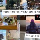 노크웍스