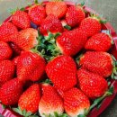 우두농장 이미지