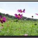 아름다운인연 이미지