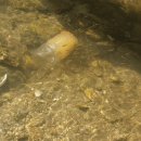 옥룡계곡입구 이미지