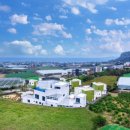 프린세스 애견 이미지