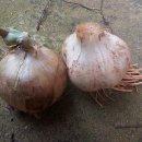 경이농장 이미지