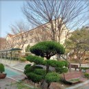 가나조경