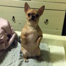 광주제석초등학교 이미지