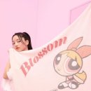 스나이델 카카오 검색결과