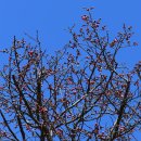 부산과학관 공원 이미지