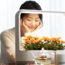 플랜테리어 홈가드닝 이미지