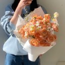 사파동103 이미지