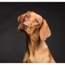 수색동물병원 이미지