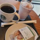 소소봄 제주다 이미지